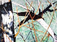 Salix, lys og skygge, 60 x 80